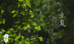 忽然今夏，魔都“橙”意正浓时