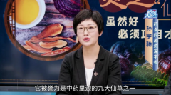 从低谷到杏林之光：孙老师与现代扶正疗法的传奇