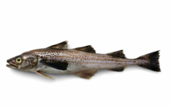 让厨房更省心，美国阿拉斯加海产解锁夏日好滋味